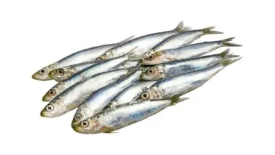 Sardinas sin limpiar de Mercadona